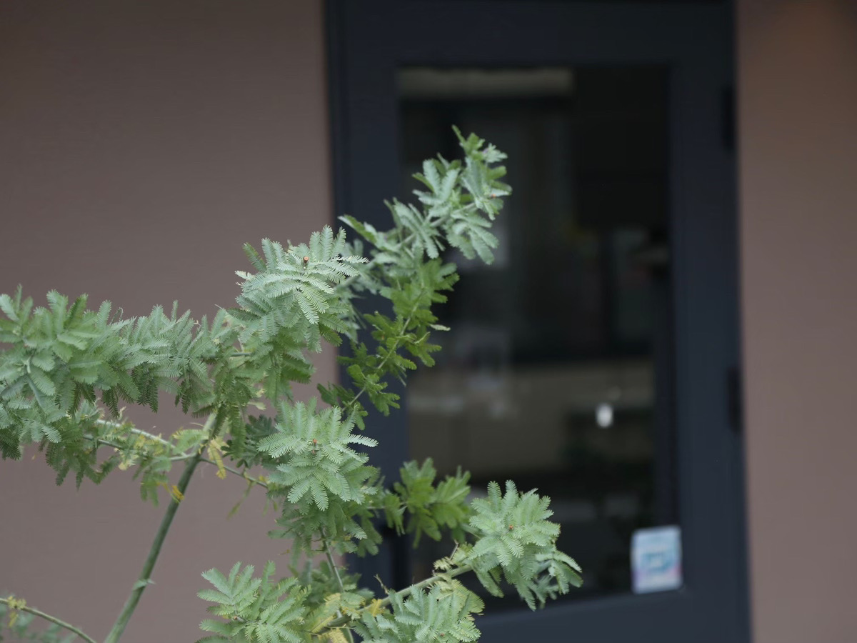 powder paper works   天王寺寺田町店